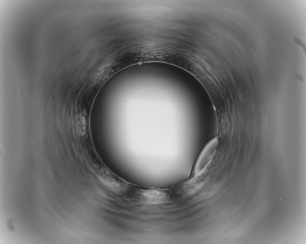 X0000094220183200710261237