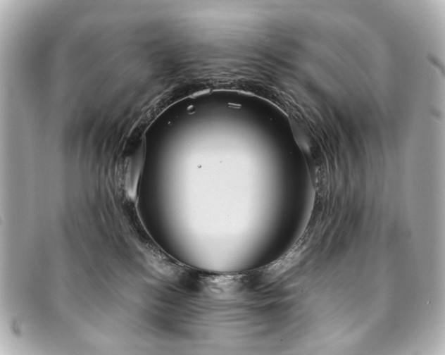 X0000094220184200710261237