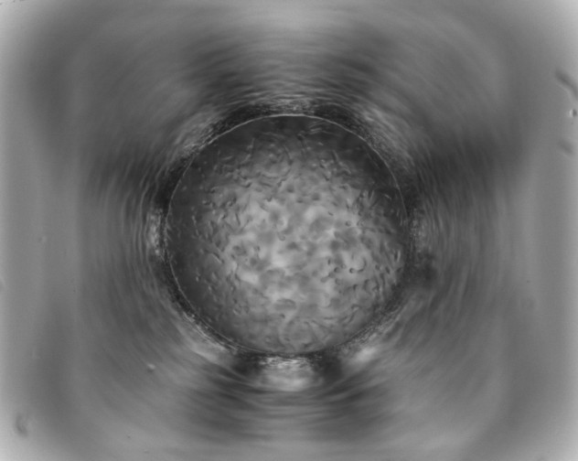 X0000094220185200710261237