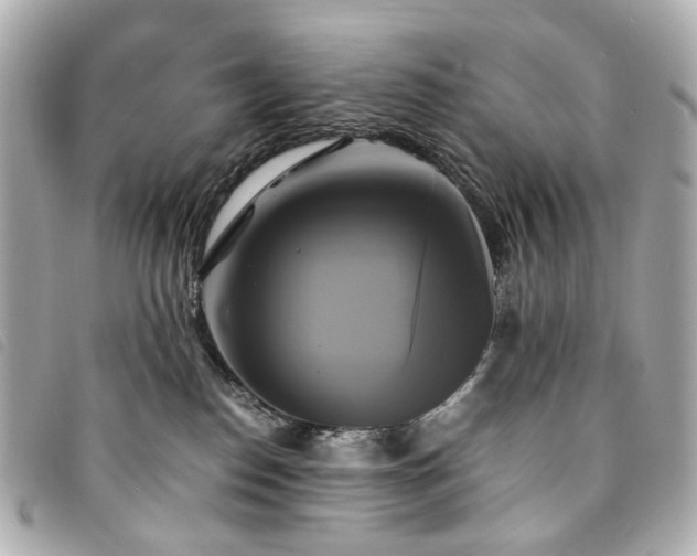 X0000094220186200710261237