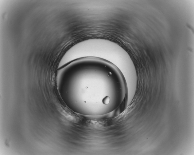 X0000094220188200710261237