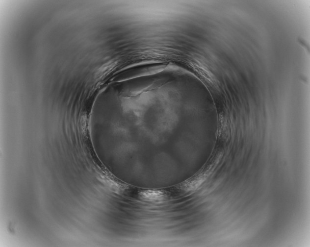 X0000094220189200710261237