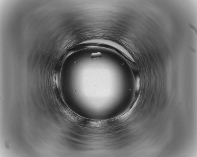 X0000094220190200710261237