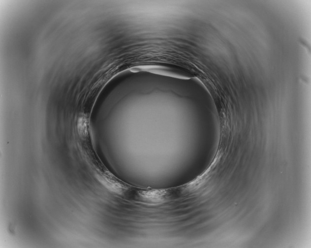 X0000094220191200710261237