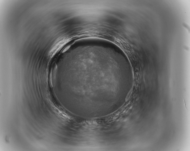 X0000094220194200710261236