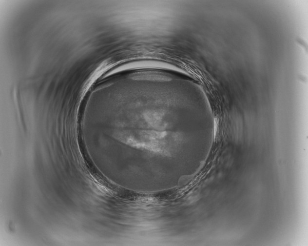 X0000094220195200710261236