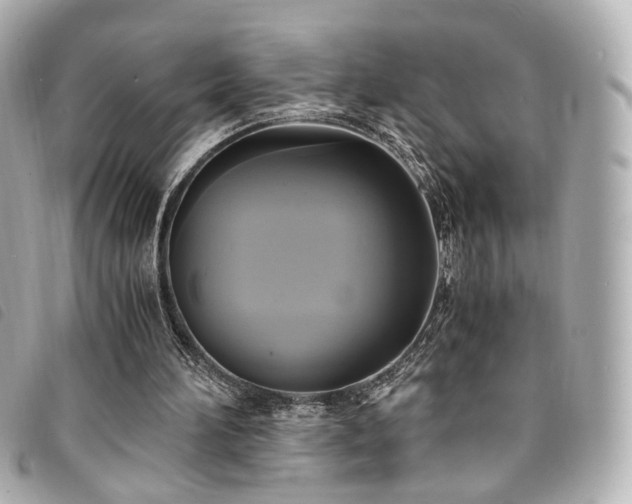 X0000094220196200710261236