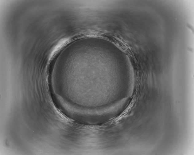 X0000094220197200710261236