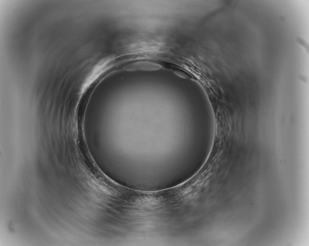 X0000094220198200710261236