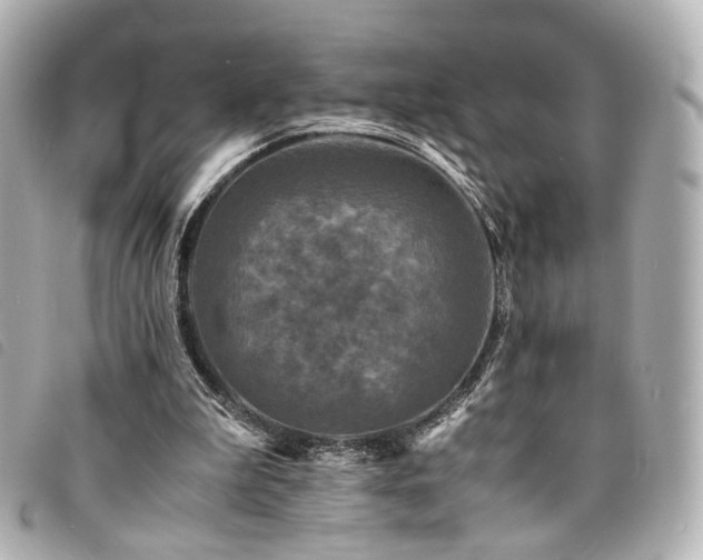 X0000094220199200710261236