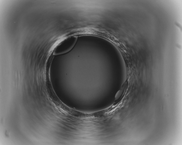 X0000094220200200710261236