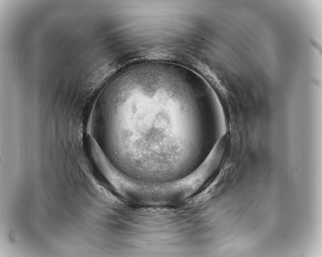 X0000094220201200710261236