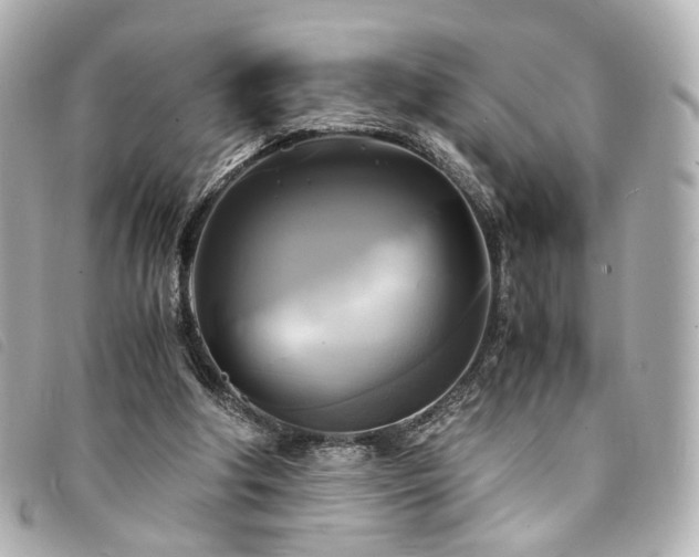 X0000094220202200710261236