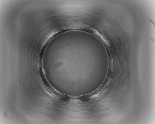 X0000094220203200710261236