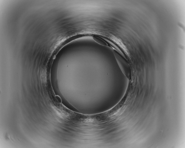 X0000094220204200710261236