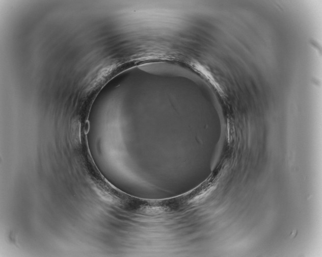 X0000094220205200710261236