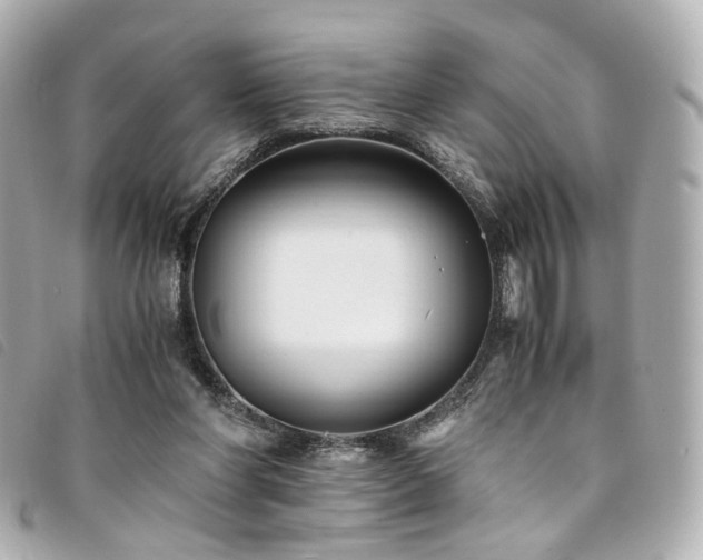 X0000094220206200710261236