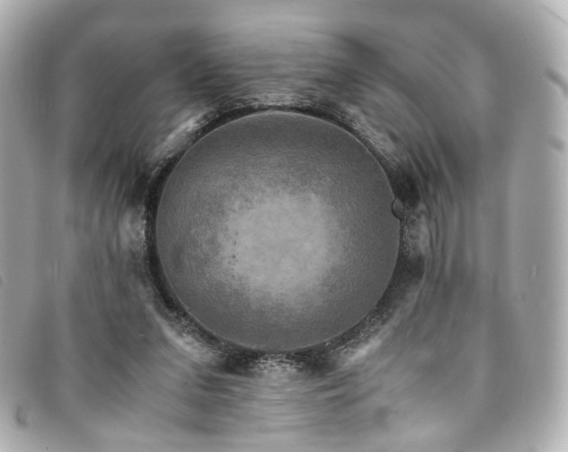 X0000094220207200710261236