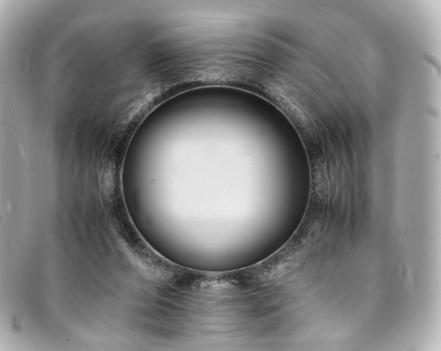 X0000094220208200710261236