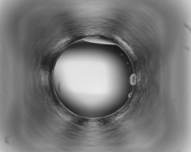 X0000094220209200710261236