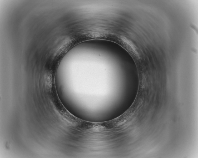 X0000094220210200710261236