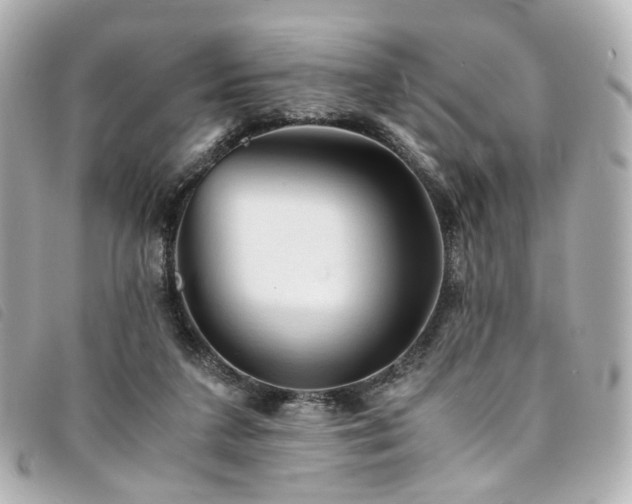 X0000094220211200710261236