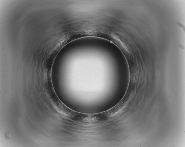 X0000094220213200710261236