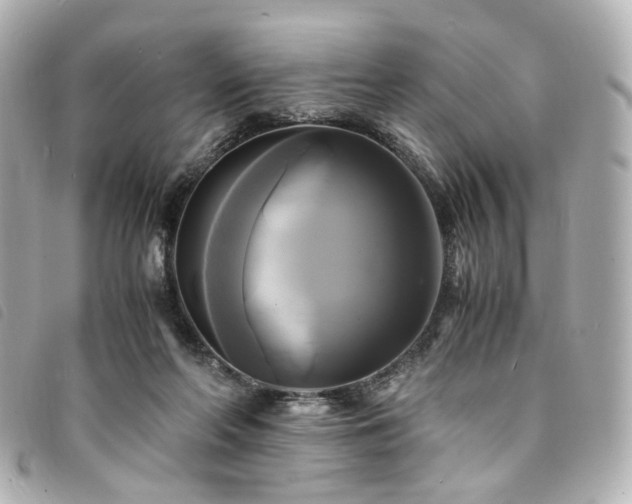 X0000094220214200710261236