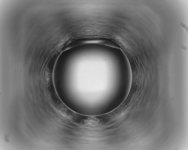 X0000094220215200710261236