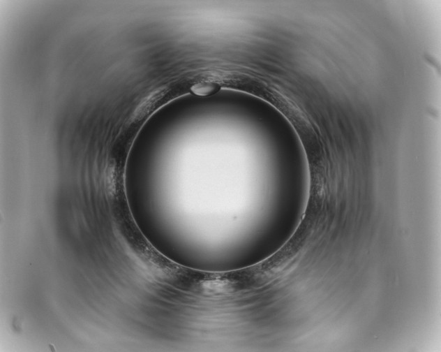 X0000094220216200710261236