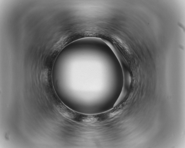 X0000094220217200710261236