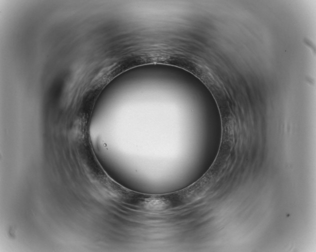 X0000094220218200710261236