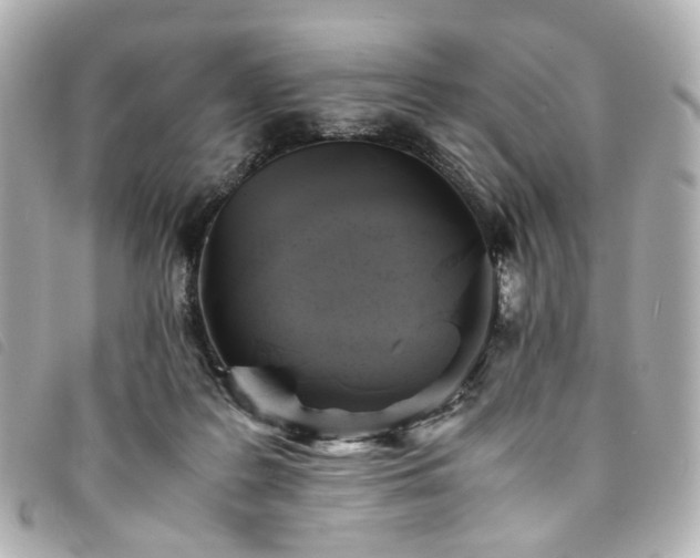 X0000094220219200710261236