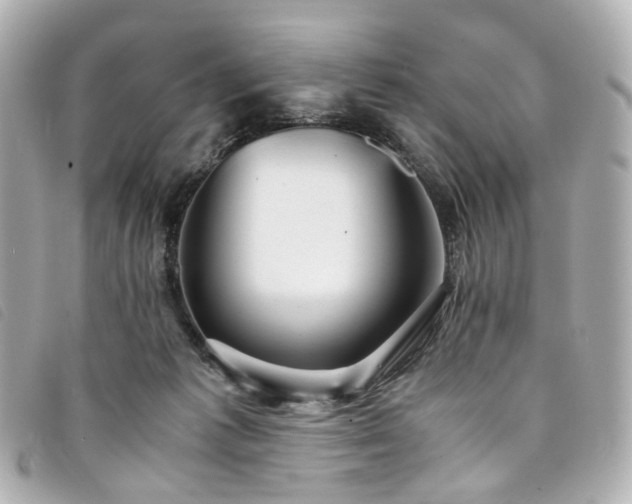 X0000094220221200710261236