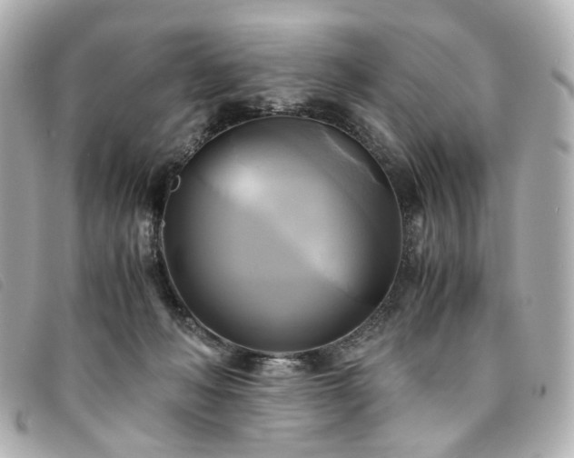 X0000094220222200710261236