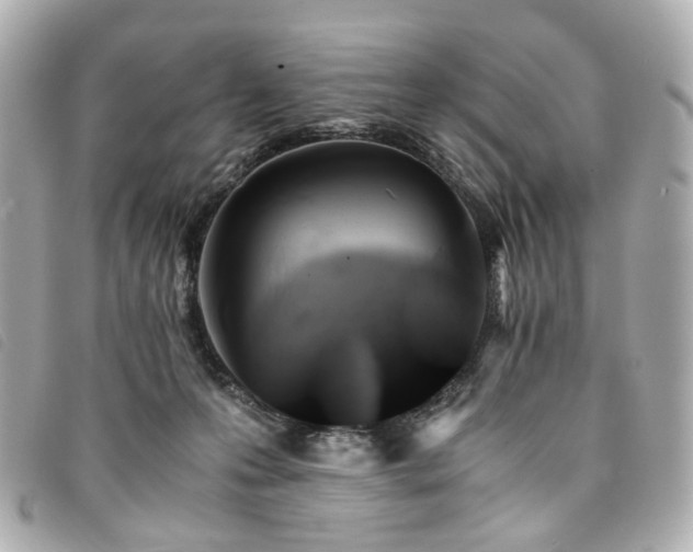 X0000094220223200710261236