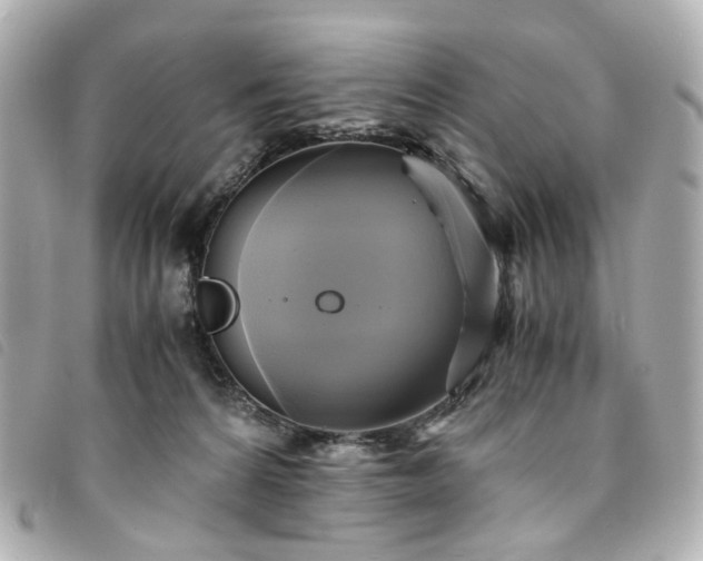 X0000094220224200710261236