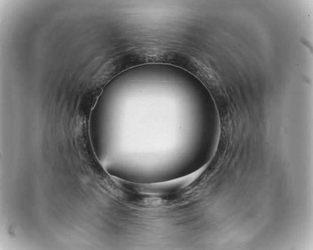 X0000094220225200710261236