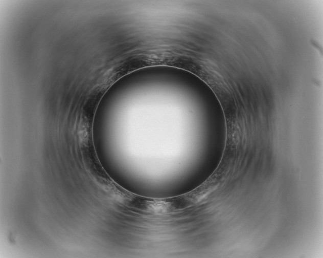 X0000094220226200710261236