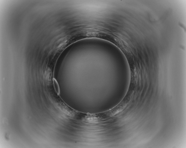 X0000094220228200710261236