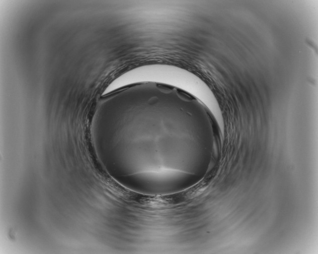 X0000094220229200710261236