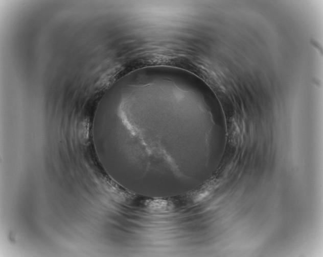 X0000094220230200710261236