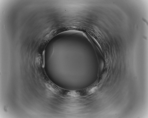 X0000094220231200710261236