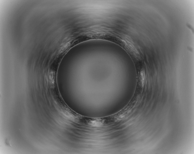 X0000094220232200710261236