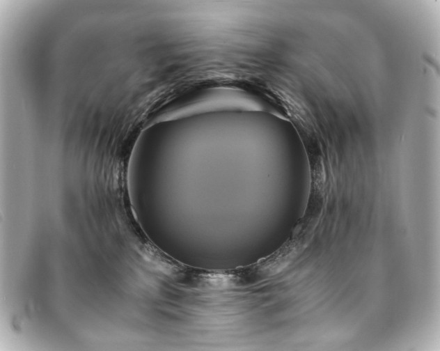 X0000094220233200710261236