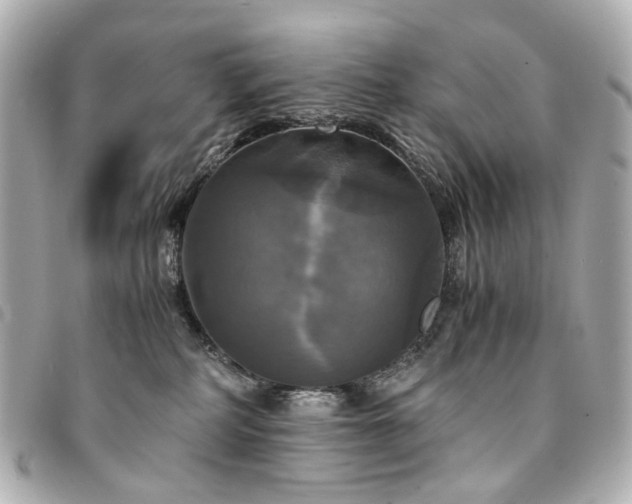 X0000094220234200710261236