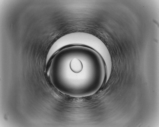 X0000094220235200710261236