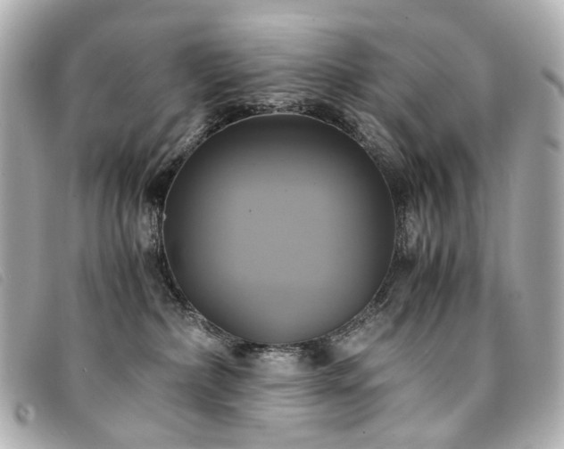 X0000094220236200710261236