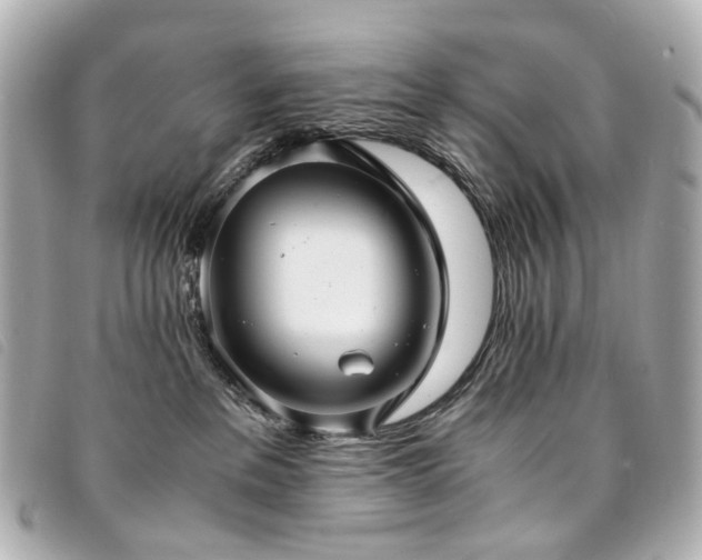 X0000094220237200710261236