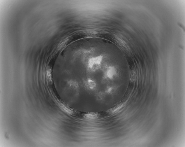 X0000094220238200710261236